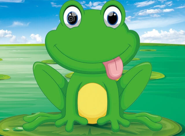 Timanttityö Funny Little Frog, 22x17cm
