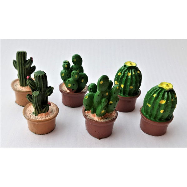 Kaktus 3kpl astiassa miniatyyri