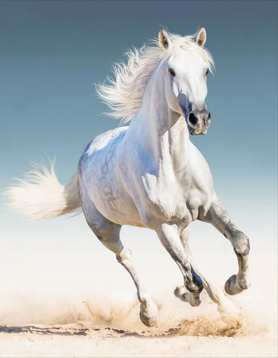 Timanttityö White Horse, 40x50cm
